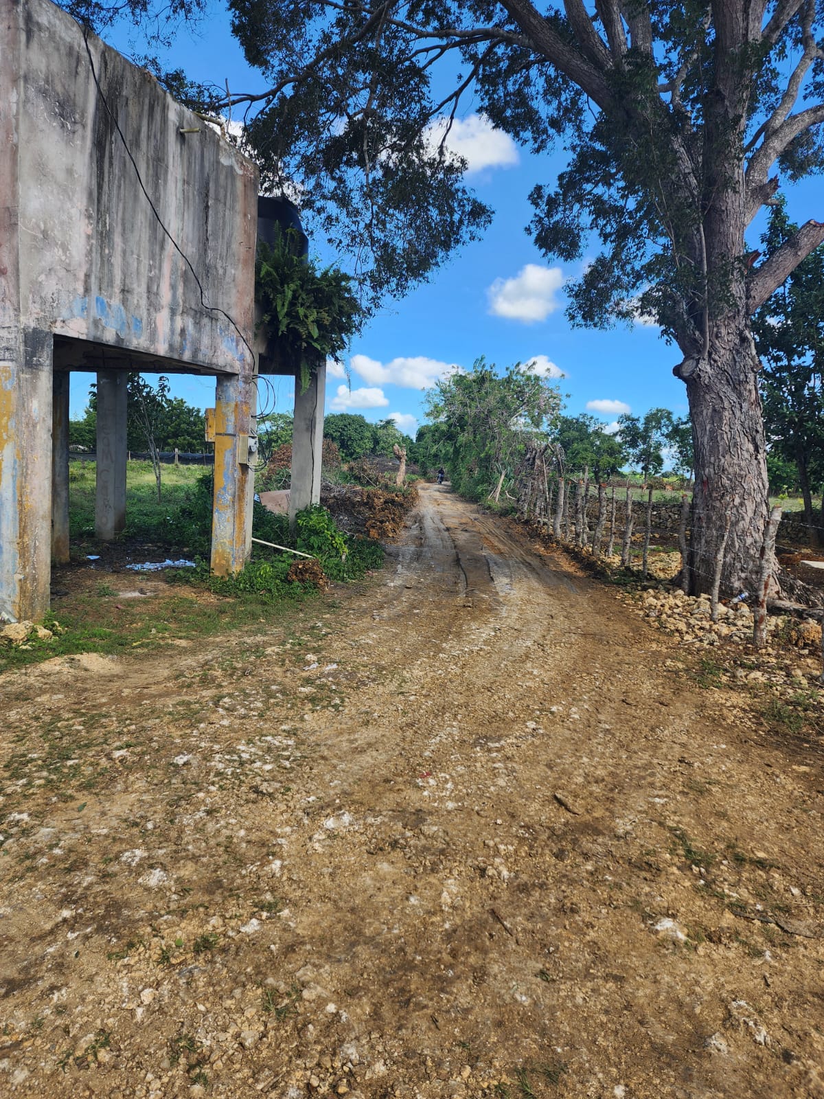 Acondicionamiento del camino vecinal en la comunidad del Cascajal.